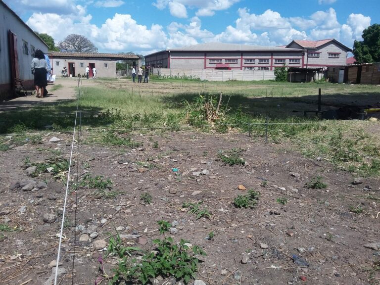 Mass Image Compressor Compressed this image. https://sourceforge.net/projects/icompress/ with Quality:66